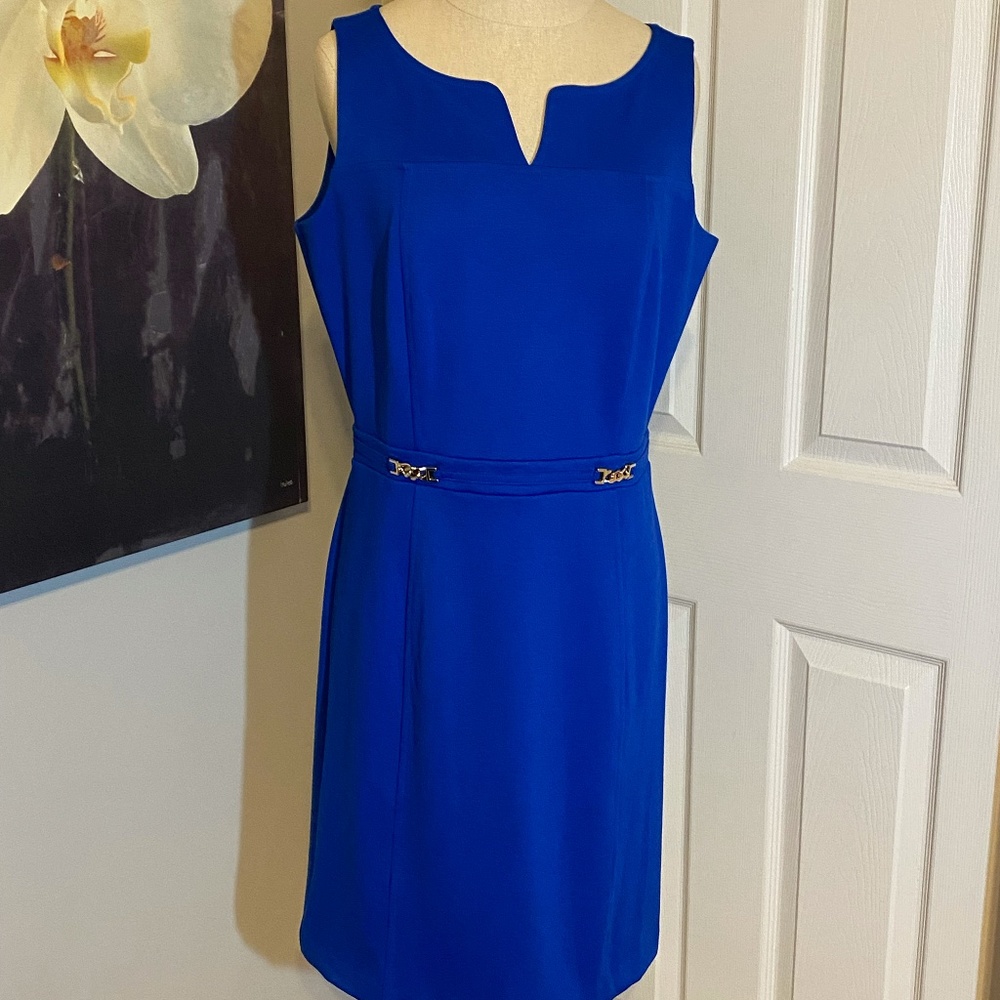 Ann Taylor Size 8P stylish blue dress